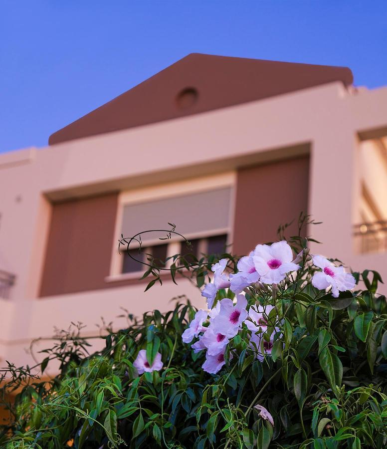 Kounoupidhianá Lotos - Luxury Apartments מראה חיצוני תמונה
